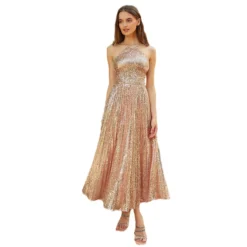 Women Sexy Backless Pleated Halter Neck Backless Sequined Evening Gown